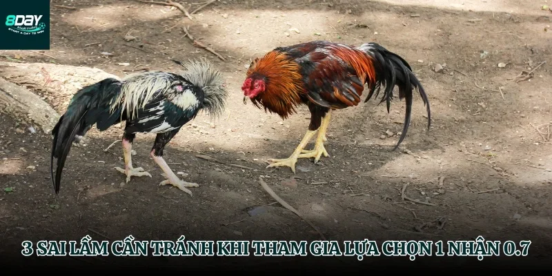 Cạm bẫy khi tham gia lựa chọn 1 nhận 0.7