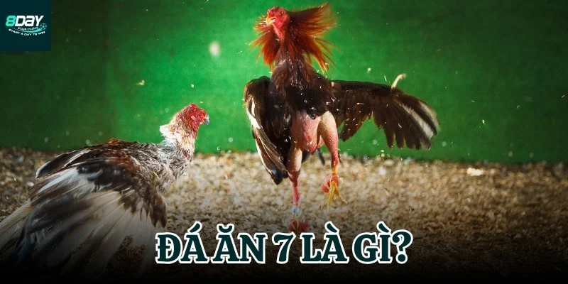đá ăn 7 là gì
