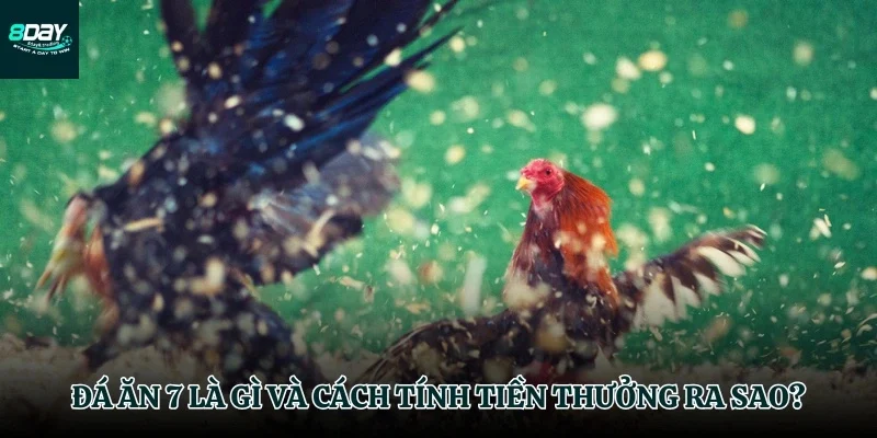Quy tắc cơ bản của đá ăn 7 là gì