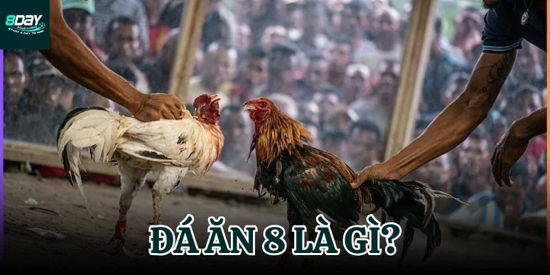 đá ăn 8 là gì