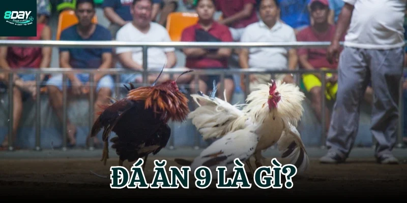đá ăn 9 là gì