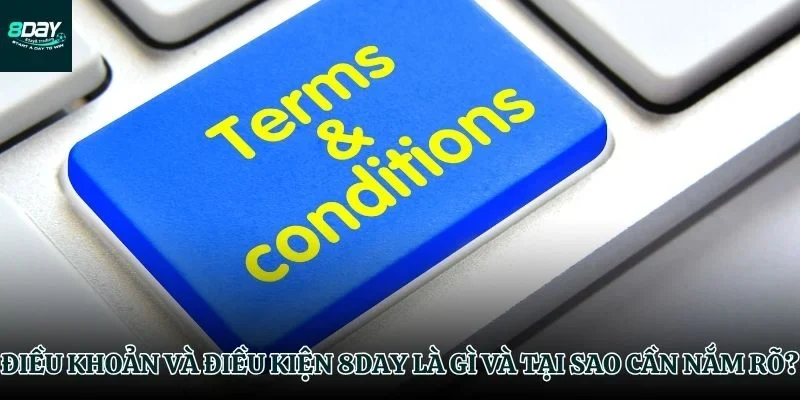 Vì sao phải đọc điều khoản và điều kiện