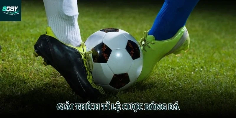 giải thích tỉ lệ cược bóng đá