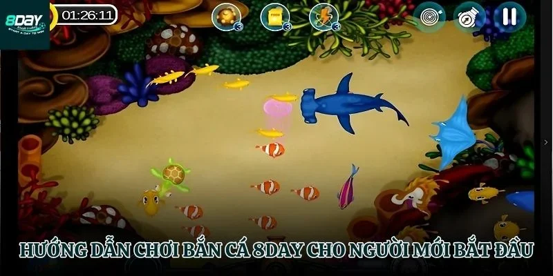 Quy trình tham gia game Bắn Cá 8day