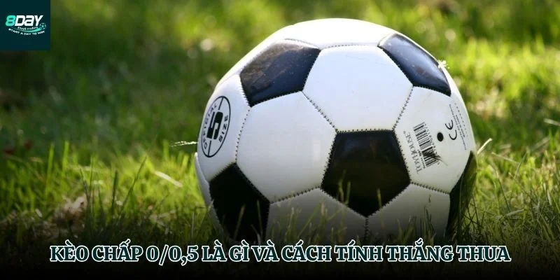 Giải mã cơ chế thắng thua của kèo chấp 0/0,5