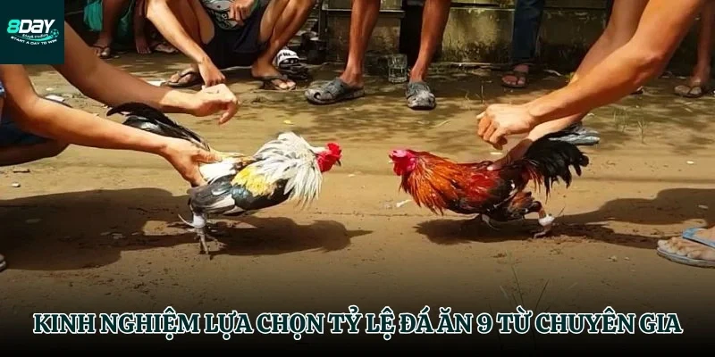 Chiến thuật lựa chọn đá ăn 9 là gì