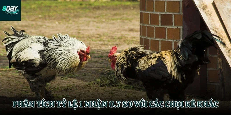 Đặt lựa chọn 1- 0.7 lên bàn cân so sánh
