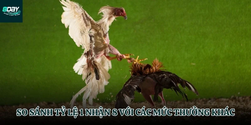Đặt lựa chọn đá 1 nhận 8 lên bàn cân